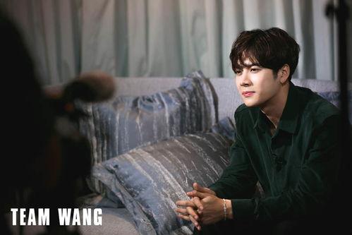 真实爆料王嘉尔视频,揭秘明星背后的生活点滴 第2张 真实爆料王嘉尔视频,揭秘明星背后的生活点滴 第2张