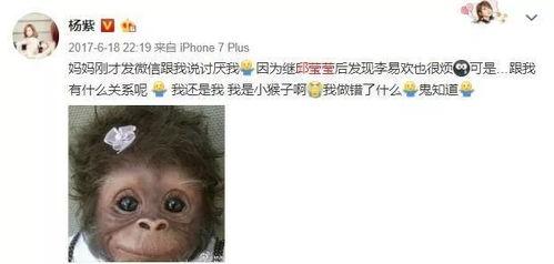 理智吃瓜娱乐,揭秘娱乐圈背后的真实故事 第3张 理智吃瓜娱乐,揭秘娱乐圈背后的真实故事 第3张